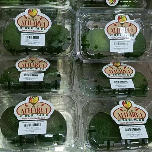 Farm-to-Table Fruit Selction Fresh avocado