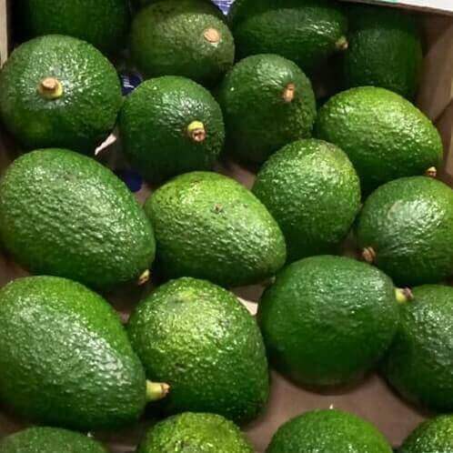 Natural Avocado