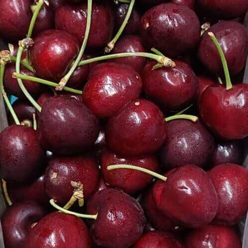 Farm-to-Table Fruit Selction Fresh Cherry