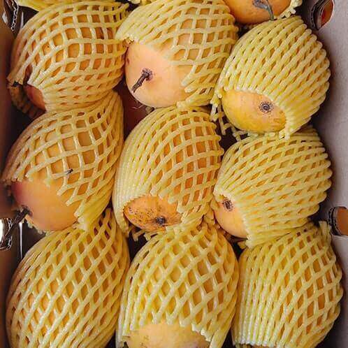 Exotic Mango Varieties